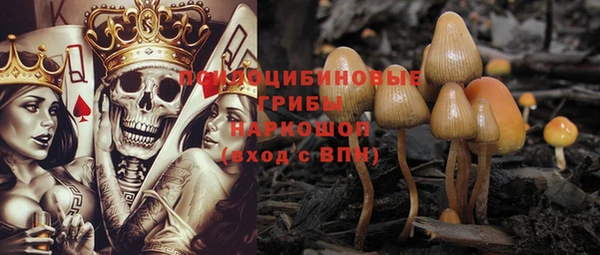 первитин Киреевск